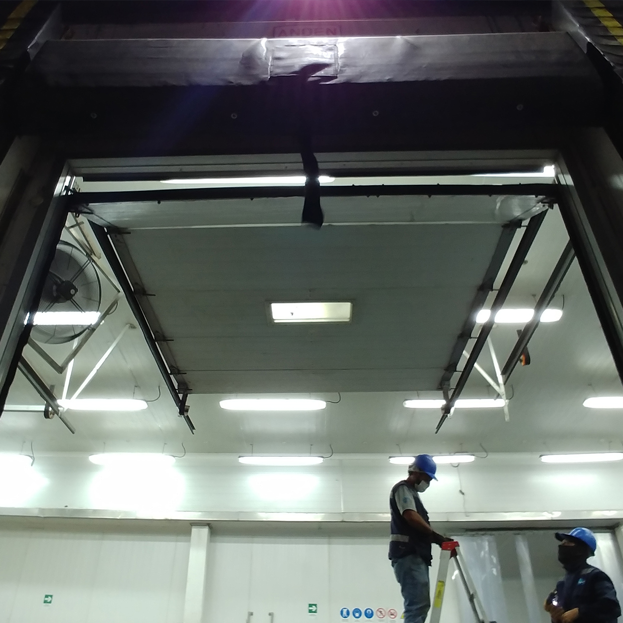 ELECOM - Equipo de trabajo